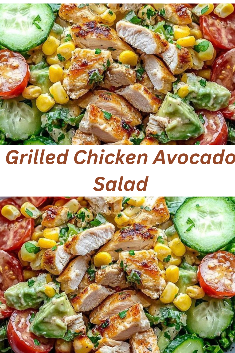 A colorful grilled chicken avocado salad bowl featuring grilled chicken slices, diced avocado, sweet corn, cherry tomatoes, and cucumbers over a bed of romaine lettuce with creamy dressing.