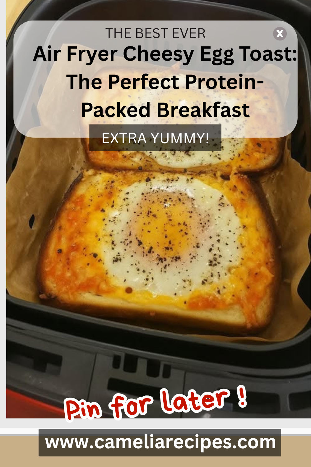 Image of air fryer cheesy egg toast with a golden, crispy crust, a gooey egg in the center, and melted cheese around the edges—perfect for a high-protein breakfast.