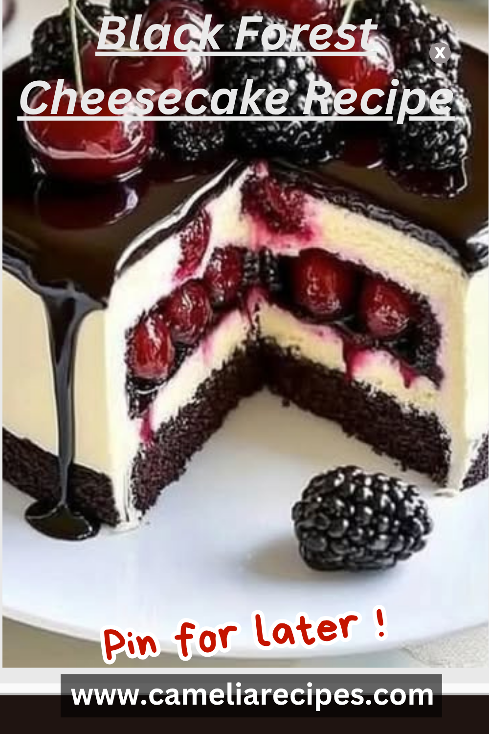 An indulgent Black Forest Cheesecake Recipe topped with vibrant cherry filling, whipped cream, and dark chocolate shavings, perfect for dessert lovers.